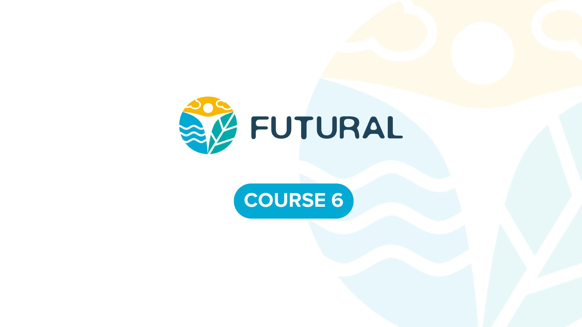 The World of Bees (Kids Edition) C6